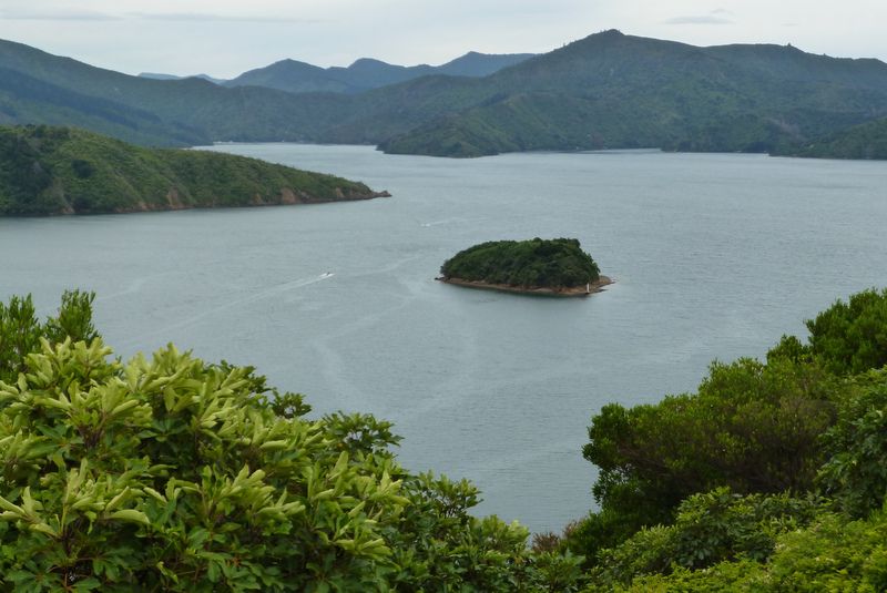 016 Queen Charlotte Sound 16th Jan 2013.JPG